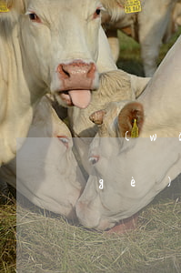 網(wǎng)貸逾期和信用卡逾期哪個(gè)更嚴(yán)重-網(wǎng)貸逾期和信用卡逾期哪個(gè)更嚴(yán)重一些