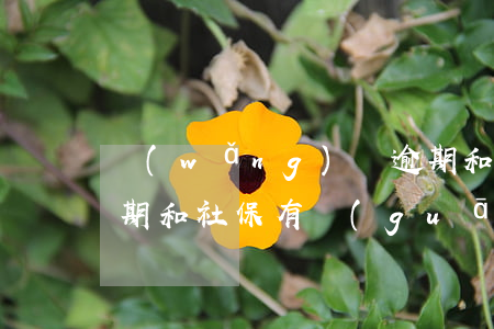 網(wǎng)貸逾期和公司交社保(貸款逾期和社保有關(guān)系嗎)