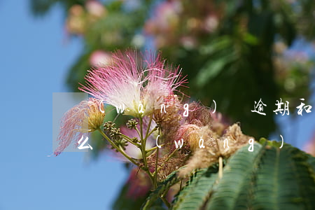 網(wǎng)貸逾期和協(xié)商怎么說(網(wǎng)貸逾期怎么協(xié)商還款)