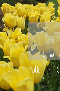網(wǎng)貸逾期和協(xié)商還款 網(wǎng)貸逾期協(xié)商還款怎么做?這兩招就夠了