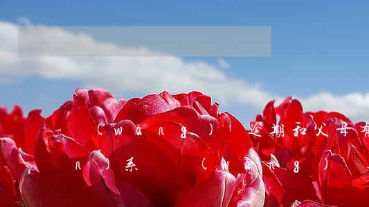 網(wǎng)貸逾期和父母有關(guān)系嗎(網(wǎng)貸逾期了會不會打電話聯(lián)系父母)
