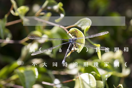 網(wǎng)貸逾期和辦理信用卡影響大不大（同時逾期幾家網(wǎng)貸和信用卡會怎樣）