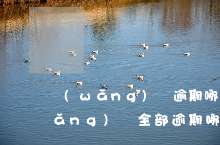 網(wǎng)貸逾期哪里能弄下款(網(wǎng)貸全部逾期哪里還可以下)