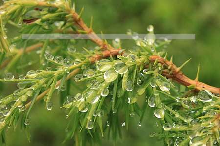網(wǎng)貸逾期問我消費(fèi)記錄(網(wǎng)上貸款逾期幾天會怎么樣)