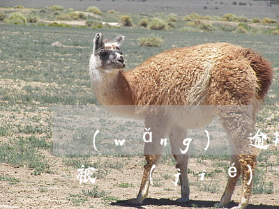 網(wǎng)貸逾期嚴(yán)重信用被凍結(jié)(網(wǎng)貸逾期嚴(yán)重信用被凍結(jié))