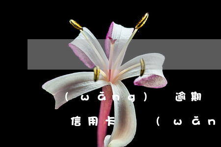 網(wǎng)貸逾期嚴(yán)重可以辦信用卡嗎(網(wǎng)貸逾期了能辦信用卡嗎?)