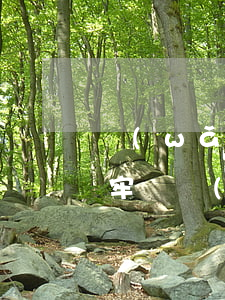 網(wǎng)貸逾期嚴(yán)重要坐牢嗎(網(wǎng)貸逾期坐牢多久)