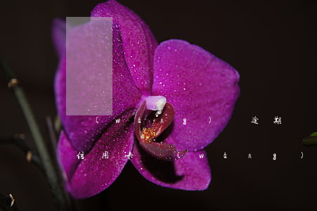 網(wǎng)貸逾期嚴(yán)重還是信用卡(網(wǎng)貸和信用卡都逾期)