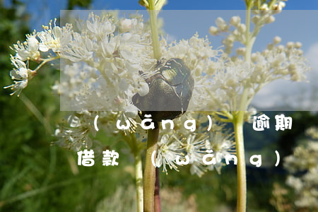 網(wǎng)貸逾期嚴(yán)重還能借款(網(wǎng)貸逾期了還能網(wǎng)貸嗎)