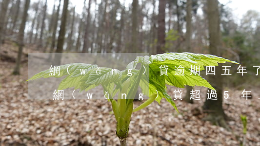 網(wǎng)貸逾期四五年了還能起訴嗎(網(wǎng)貸超過5年.起訴還有用嗎)
