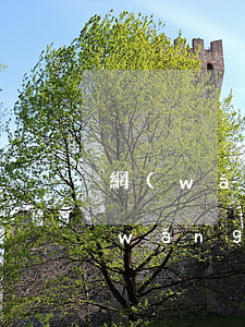 網(wǎng)貸逾期四個月會黑戶嗎(網(wǎng)貸逾期久了會不會成了銀行黑名單)