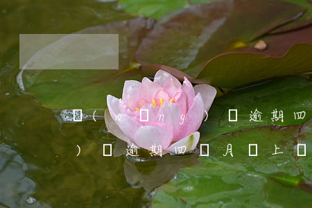 網(wǎng)貸逾期四個月(網(wǎng)貸逾期四個月會上門么)
