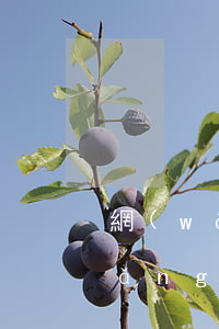 網(wǎng)貸逾期四個月要起訴(網(wǎng)貸逾期三個月了會不會被起訴)