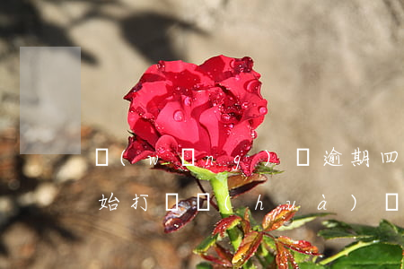 網(wǎng)貸逾期四年又開(kāi)始打電話(huà)發(fā)消息-網(wǎng)貸逾期四年又開(kāi)始打電話(huà)發(fā)消息是真的嗎