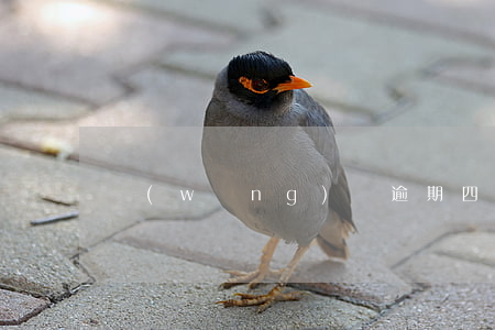 網(wǎng)貸逾期四年還可以起訴嗎