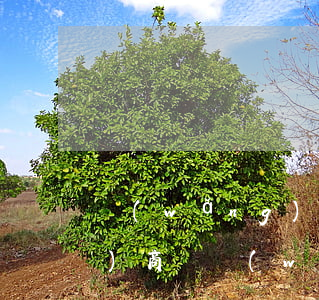 網(wǎng)貸逾期四年還能協(xié)商嗎(網(wǎng)貸逾期4年過訴訟期)