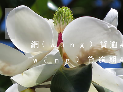 網(wǎng)貸逾期四次影響房貸嗎(網(wǎng)貸逾期4個月有什么影響)