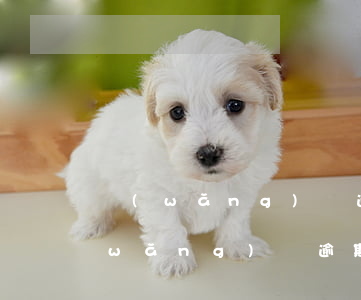網(wǎng)貸逾期回復(fù)A(網(wǎng)貸逾期總是發(fā)信息要回復(fù)嗎)