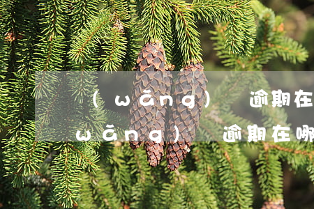 網(wǎng)貸逾期在哪里查信用-網(wǎng)貸逾期在哪里查信用記錄