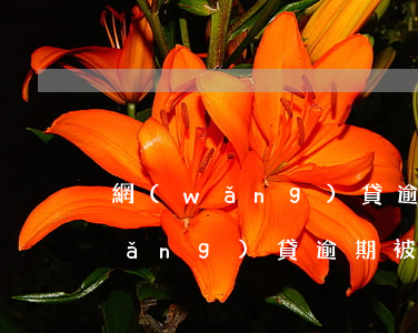 網(wǎng)貸逾期在戶籍地起訴(網(wǎng)貸逾期被異地起訴該怎么辦)