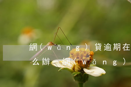網(wǎng)貸逾期在支付寶里面掛著怎么辦-網(wǎng)貸逾期在支付寶里面掛著怎么辦呢