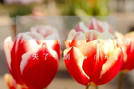 網(wǎng)貸逾期在支付寶里面掛著消失了-網(wǎng)貸逾期在支付寶里面掛著消失了怎么辦