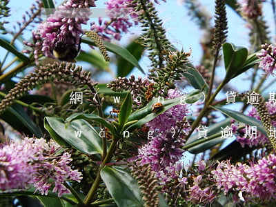 網(wǎng)貸逾期地鐵警察能查出(網(wǎng)貸逾期地鐵警察能查出)