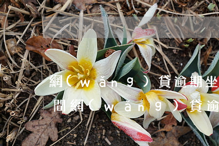 網(wǎng)貸逾期坐牢了怎么辦(坐牢期間網(wǎng)貸逾期怎么辦)