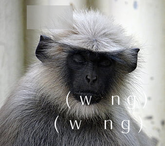 網(wǎng)貸逾期坐牢還得還嗎(欠了網(wǎng)貸還了會不會坐牢)