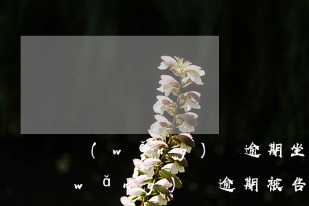 網(wǎng)貸逾期坐等起訴怎么辦(網(wǎng)貸逾期被告了怎么辦)
