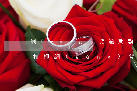 網(wǎng)貸逾期執(zhí)行人員扣押(網(wǎng)貸逾期強制執(zhí)行是什么意思)