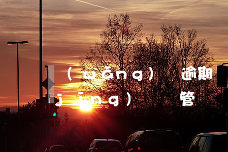 網(wǎng)貸逾期報(bào)警經(jīng)偵會管嗎(網(wǎng)貸逾期會被警察抓嗎)