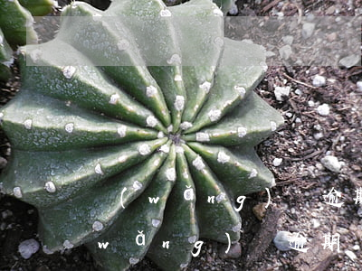 網(wǎng)貸逾期報案函怎么回事(網(wǎng)貸逾期發(fā)函是什么意思)
