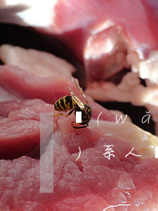 網(wǎng)貸逾期填寫假聯(lián)系人(網(wǎng)貸聯(lián)系人可以亂填嗎)