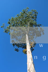 網(wǎng)貸逾期外訪公司上門(網(wǎng)貸逾期來家訪怎么辦)