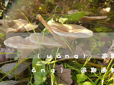 網(wǎng)貸逾期外訪去村委會(網(wǎng)貸逾期通知村委會合法么)
