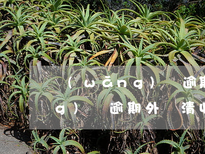 網(wǎng)貸逾期外訪清收(網(wǎng)貸逾期外訪清收通知)