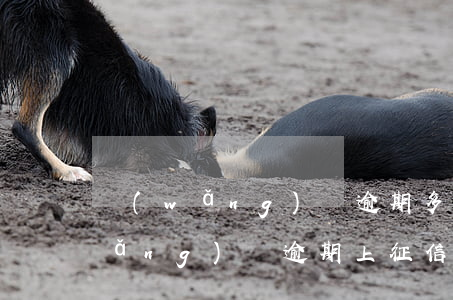 網(wǎng)貸逾期多久上征信呀?(網(wǎng)貸逾期上征信嗎)