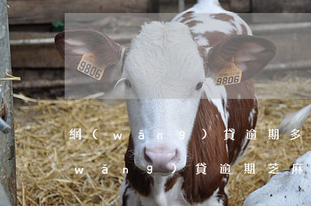 網(wǎng)貸逾期多久上芝麻信用(網(wǎng)貸逾期芝麻記錄多久會消除)