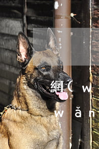 網(wǎng)貸逾期多久上門要賬嗎(網(wǎng)貸逾期了會(huì)上門嗎)