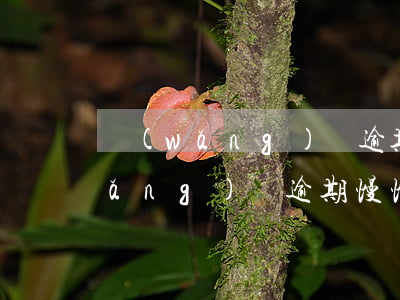 網(wǎng)貸逾期多久不再追債(網(wǎng)貸逾期慢慢還可以嗎)