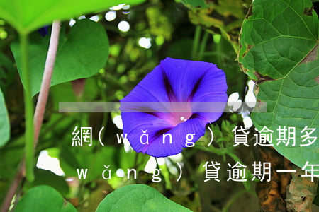 網(wǎng)貸逾期多久不能買機票(網(wǎng)貸逾期一年可以坐飛機不 已經(jīng)出票了)