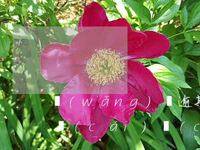 網(wǎng)貸逾期多久凍結(jié)財(cái)產(chǎn)(網(wǎng)貸逾期說(shuō)凍結(jié)所有財(cái)產(chǎn)是真的嗎)
