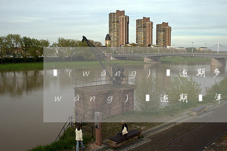 網(wǎng)貸逾期多久可以不還了(網(wǎng)貸逾期幾年不還怎樣)