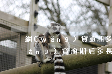 網(wǎng)貸逾期多久可以再借，網(wǎng)貸逾期后多長時間可以再次借款？