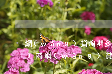 網(wǎng)貸逾期多久可以協(xié)商(網(wǎng)貸逾期多久可以協(xié)商)