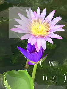 網(wǎng)貸逾期多久可以起訴(網(wǎng)貸逾期多久會(huì)被起訴到法院正規(guī))