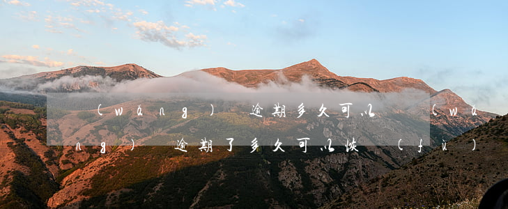 網(wǎng)貸逾期多久可以還(網(wǎng)貸逾期了多久可以恢復(fù))