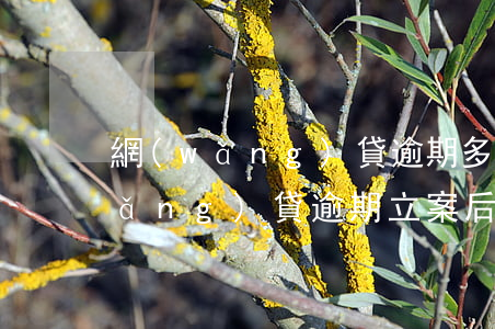 網(wǎng)貸逾期多久可以銷案(網(wǎng)貸逾期立案后會(huì)多久會(huì)被起訴)