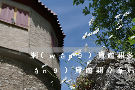 網(wǎng)貸逾期多久可以銷案(網(wǎng)貸逾期立案后會多久會被起訴)